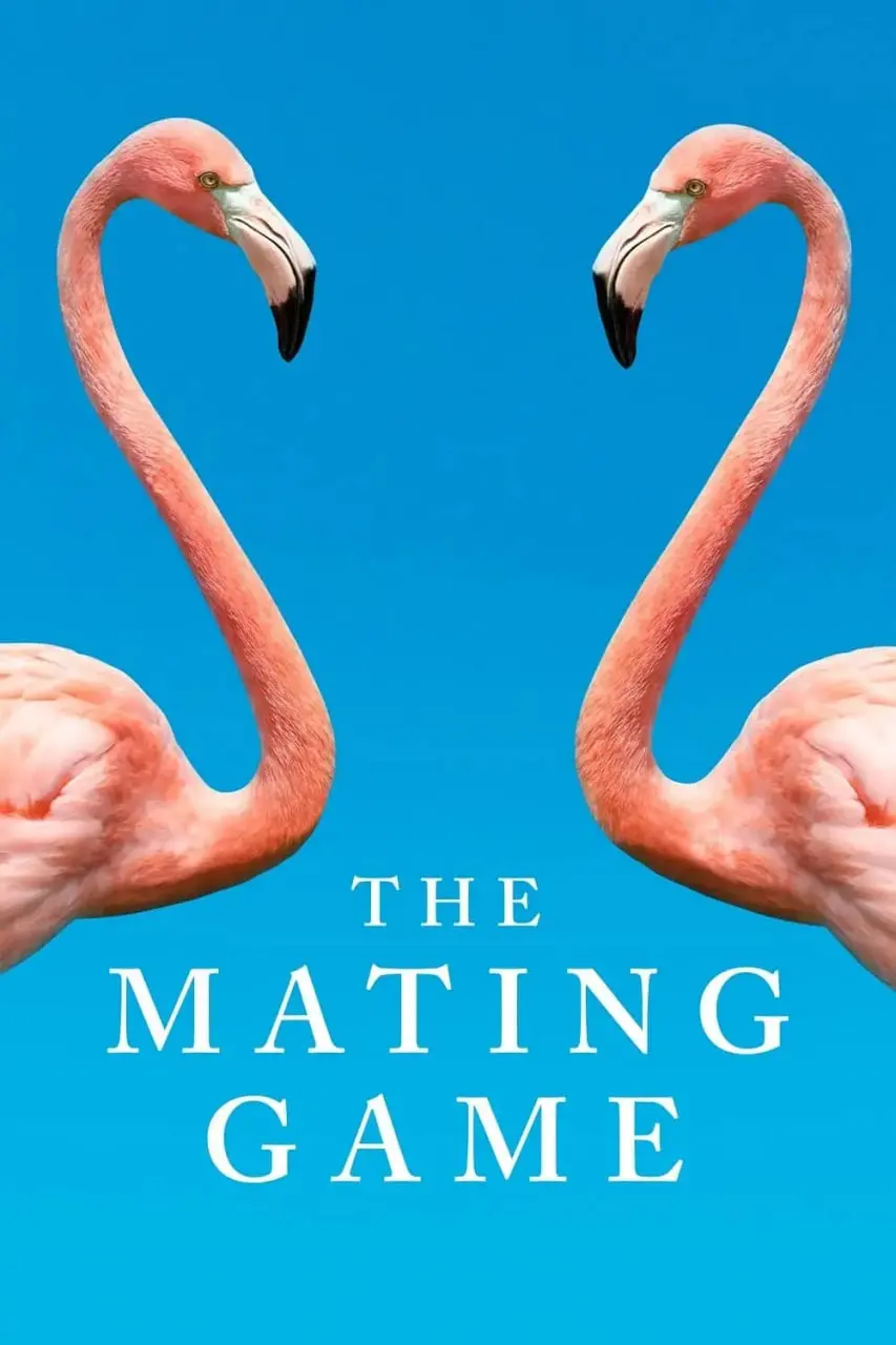 《求偶游戏》：当企鹅也开始为爱疯狂，爆笑又感动的自然爱情喜剧