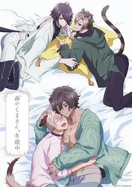 《森林里的熊先生冬眠中》：冬日暖心！当傲娇熊遇上甜心少女，一场意想不到的恋爱喜剧！