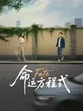 《命运方程式》：当算法遇上心跳，一场关于爱与选择的浪漫时空谜题！